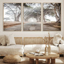 Cypress Tunnel Wall Art – Framed Misty Road Canvas Artwork, by MyGreatCanvas | Canvas Wall Art Prints | Photo Prints & Wall Decor