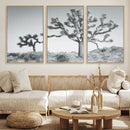 Joshua Tree Wall Art Canvas Print – Framed Black White