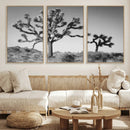 Joshua Tree Wall Art Canvas Print – Framed Monochrome Desert