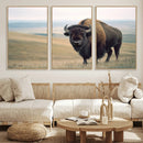 Bison Wall Art Canvas Print – Framed Buffalo American Bison