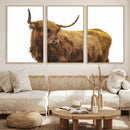 Highland Cow Wall Art Canvas Print – Framed Farmhouse Rustic by MyGreatCanvas | Canvas Wall Art Prints | Photo Prints & Wall Decor