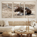 Texas Longhorn Wall Art Canvas Print – Framed Country Living