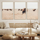 Bison Herd Wall Art Canvas Print – Framed Western Prairie by MyGreatCanvas | Canvas Wall Art Prints | Photo Prints & Wall Decor