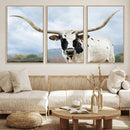 Texas Longhorn Wall Art Canvas Print – Framed Western Rustic
