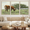 Texas Longhorn Wall Art Canvas Print – Rustic Western Ranch by MyGreatCanvas | Canvas Wall Art Prints | Photo Prints & Wall Decor