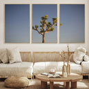 Joshua Tree Wall Art Canvas Print – Framed Southwestern
