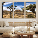 Joshua Tree Desert Wall Art Canvas Print – Framed