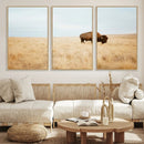 Buffalo Wall Art Canvas Print – Framed Western Wildlife