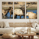 Wild Elk Wall Art Canvas Print – Framed Neutral Wildlife