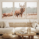 Rustic Nature Wall Art Canvas Print – Stag Woodland Framed