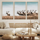 Elk Herd Wall Art Canvas Print – Framed Wildlife Photography