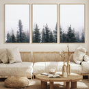 Foggy Forest Wall Art Canvas Print – Framed Misty Pines