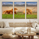 Texas Longhorn Pair Wall Art Canvas Print – Peaceful Rustic by MyGreatCanvas | Canvas Wall Art Prints | Photo Prints & Wall Decor