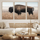 American Bison Wall Art Canvas Print – Majestic Buffalo