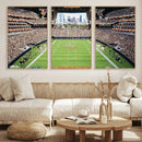 Chicago Bears Soldiers Field Wall Art Canvas Print – Framed