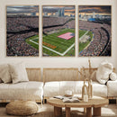Chicago Bears Soldiers Field Wall Art Canvas Print – Framed