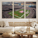 Chicago Bears Soldiers Field Wall Art Canvas Print – Framed