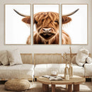 Scottish Highland Cow Canvas Print, Framed Highland Cow