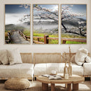 Sakura Cherry Blossom Pathway Canvas Wall Art – Tranquil