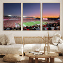 Dooley Stadium Wall Art, Sports Arena Canvas Print, Dooley