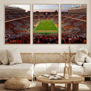 Tennessee Neyland Stadium Wall Art, Sports Arena Canvas by MyGreatCanvas | Canvas Wall Art Prints | Photo Prints & Wall Decor