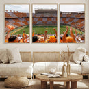 Tennessee Neyland Stadium Wall Art, Sports Arena Canvas by MyGreatCanvas | Canvas Wall Art Prints | Photo Prints & Wall Decor