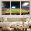 Dooley Stadium Wall Art, Sports Arena Panoramic Canvas by MyGreatCanvas | Canvas Wall Art Prints | Photo Prints & Wall Decor