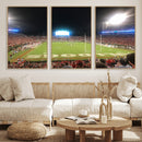 Dooley Stadium Wall Art, Sports Arena Panoramic Canvas