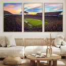 Jordan-Hare Stadium Wall Art Canvas Print, Football Stadium by MyGreatCanvas | Canvas Wall Art Prints | Photo Prints & Wall Decor