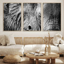 Wild Old Elephant Wall Art Canvas Print