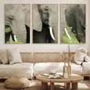 Wild Elephant Wall Art Canvas Print by MyGreatCanvas | Canvas Wall Art Prints | Photo Prints & Wall Decor