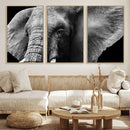 Big Elephant Close Up Wall Art Canvas Print