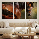 Majestic Brown Horse Wall Art Canvas Print – Framed