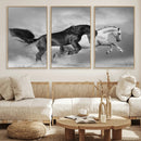 Wild Horses Wall Art Canvas Print – Framed Black and White