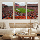 Auburn Stadium Wall Art Canvas Print, Jordan Hare Stadium by MyGreatCanvas | Canvas Wall Art Prints | Photo Prints & Wall Decor