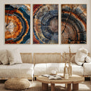 Tree Ring Triptych Canvas Wall Art — Set of 3 Wood Grain by MyGreatCanvas | Canvas Wall Art Prints | Photo Prints & Wall Decor