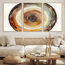 Natural Wood Slice Wall Art Canvas Print, Tree Ring Wall by MyGreatCanvas | Canvas Wall Art Prints | Photo Prints & Wall Decor