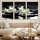 Plumeria Frangipani Black Stone Canvas | White Flower Spa by MyGreatCanvas | Canvas Wall Art Prints | Photo Prints & Wall Decor