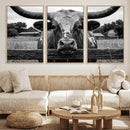 Black White Texas Longhorn Bull Canvas Wall Art, Western Ranch Cattle Photography Print, Rustic Farmhouse Cowboy Decor Artwork