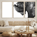 Black and White Grizzly 399 Bear Canvas Print Wall Art | by MyGreatCanvas | Canvas Wall Art Prints | Photo Prints & Wall Decor