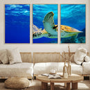 Sea Turtle Wall Art Canvas Print, Sea life in the Ocean Wall