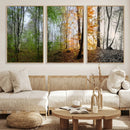 Four Seasons Wall Art Forest Canvas Print – Triptych by MyGreatCanvas | Canvas Wall Art Prints | Photo Prints & Wall Decor