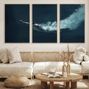 Swimmer Wall Art Canvas Print