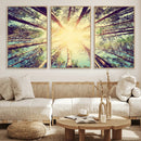 Tree and Sunshine Canvas Print