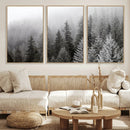 Big Foggy Forest and Misty Trees Forest Wall Art Canvas by MyGreatCanvas | Canvas Wall Art Prints | Photo Prints & Wall Decor