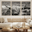 Cow Focus Canvas Wall Art Print by MyGreatCanvas | Canvas Wall Art Prints | Photo Prints & Wall Decor