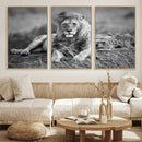 King Forest Lion Wall Art Canvas Print – Framed Majestic by MyGreatCanvas | Canvas Wall Art Prints | Photo Prints & Wall Decor