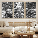 Trees Contemporary Art Canvas Print by MyGreatCanvas | Canvas Wall Art Prints | Photo Prints & Wall Decor