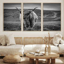 Fluffy Cattle Wall Art Print, Highland Cow Canvas, Framed by MyGreatCanvas | Canvas Wall Art Prints | Photo Prints & Wall Decor