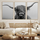 Texas Cow Wall Art Canvas, Texas Longhorn Cattle Canvas by MyGreatCanvas | Canvas Wall Art Prints | Photo Prints & Wall Decor